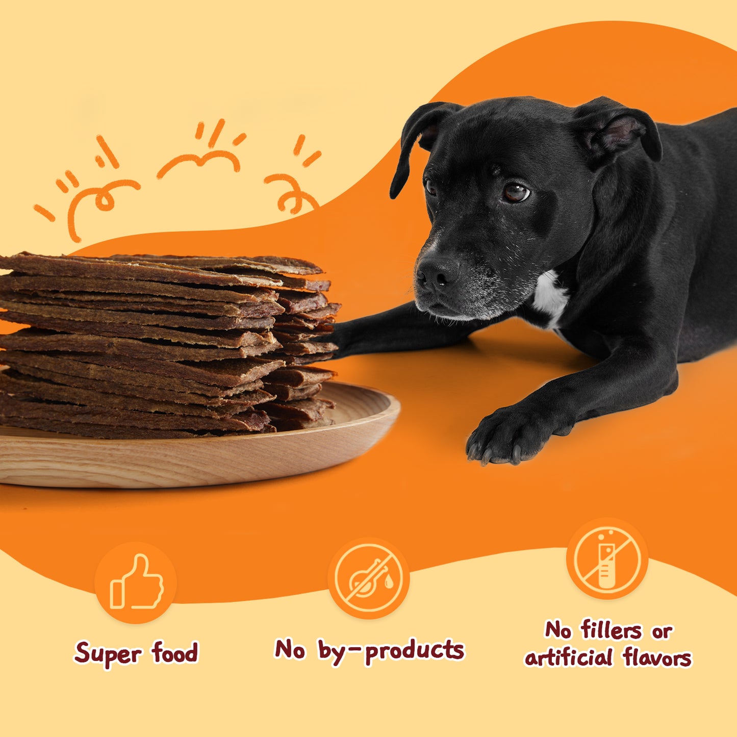 Beef Jerky Dog Treats, Healthy Dog Jerky Treats for Medium and Large Dogs, High Protein Training Snacks, 10.6 oz (Beef & Chicken Strips)