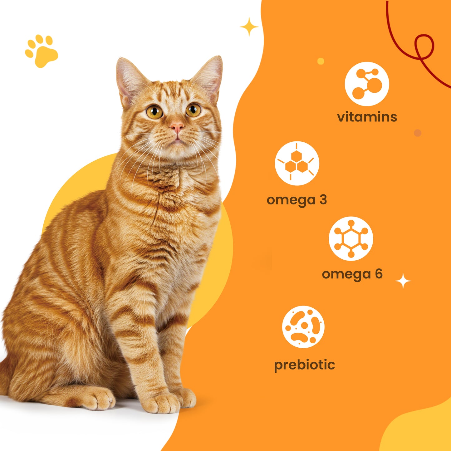 JUNGLE CALLING Grain-Free Indoor Cat Food