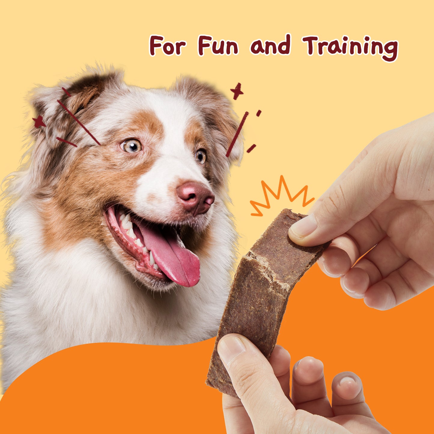 Beef Jerky Dog Treats, Healthy Dog Jerky Treats for Medium and Large Dogs, High Protein Training Snacks, 10.6 oz (Beef & Chicken Strips)