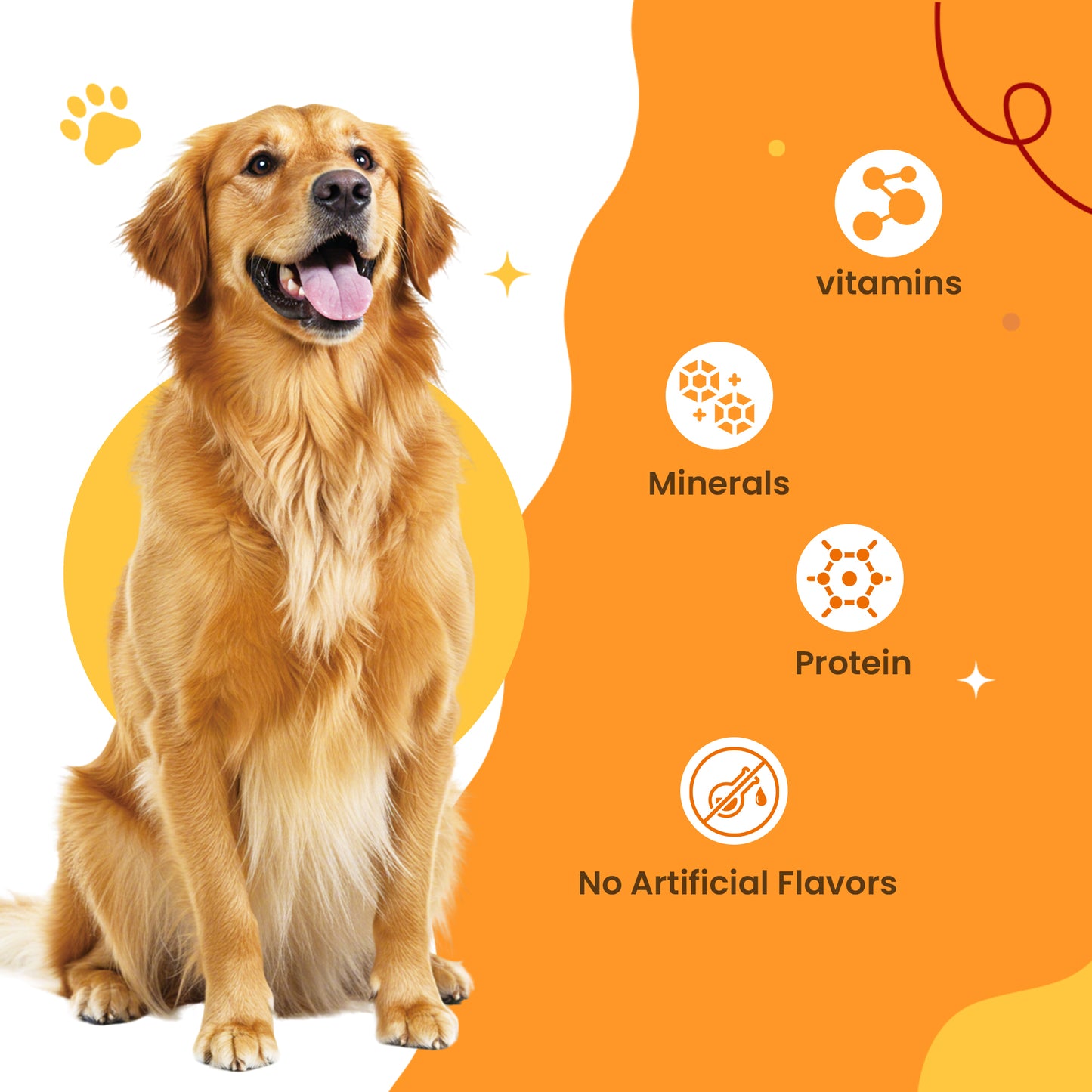 JUNGLE CALLING Premium Foodstuffs for dogs