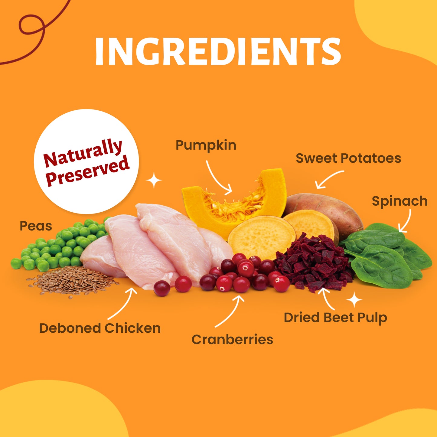JUNGLE CALLING Premium Foodstuffs for dogs