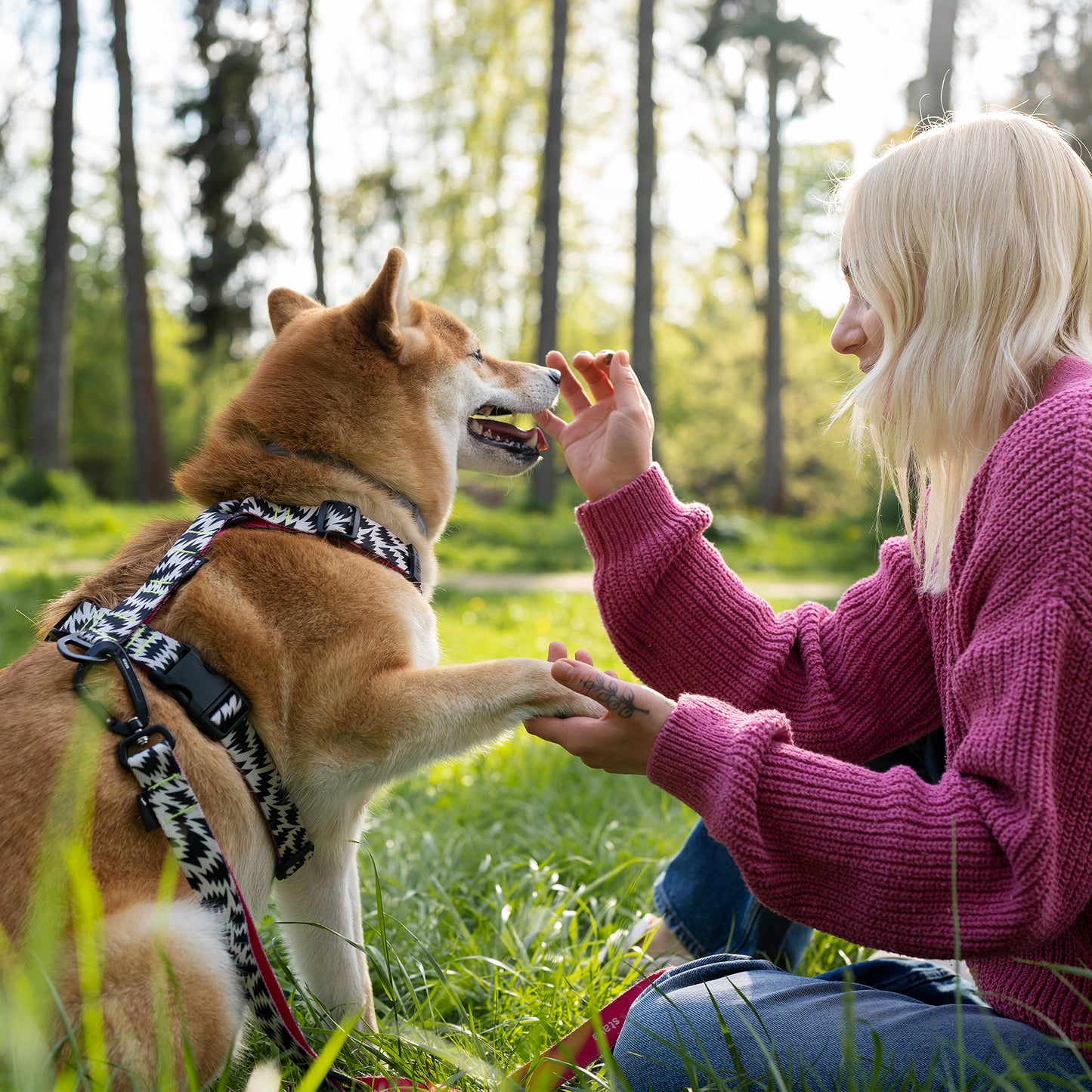 JUNGLE CALLING Premium Foodstuffs for dogs