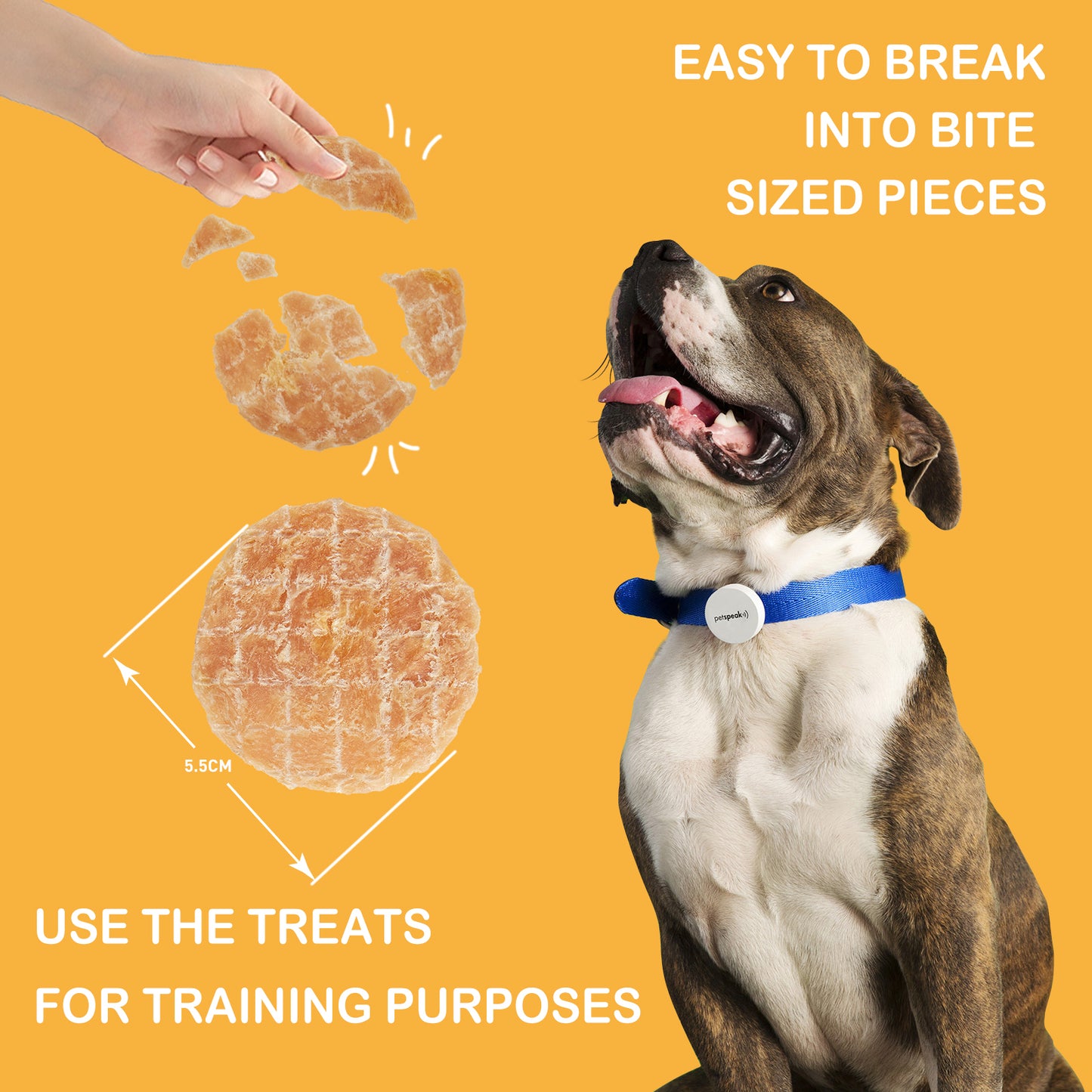 Chicken Chips for Dogs, All Natural Chips Jerky Dog Treats, Single Ingredient Dog Snacks, 6 oz Visit the Jungle Calling Store