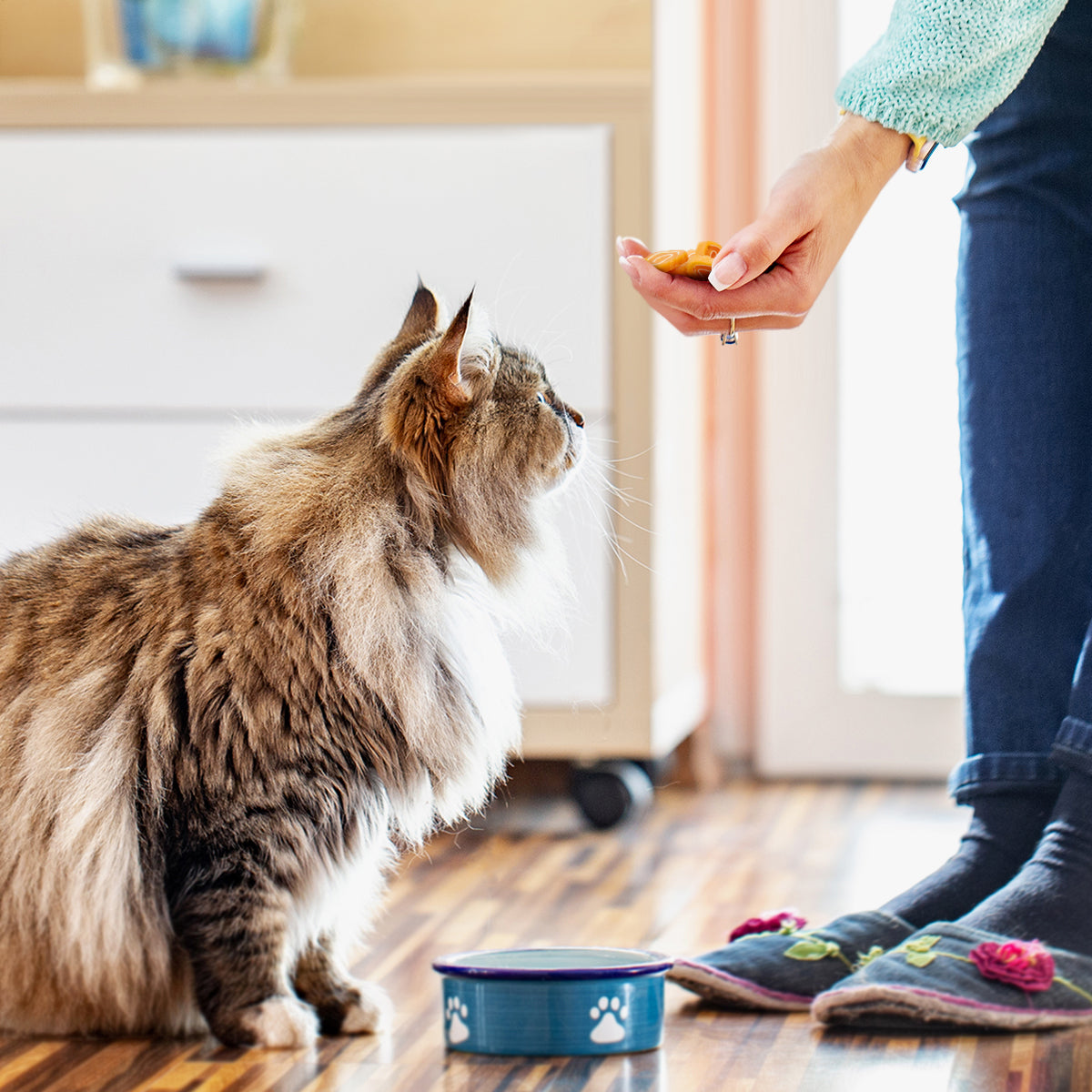 Chicken Wrapped Dog Treats, Grain Free Soft Chewy Chicken&Codfish Treats for Training Rewards,10.6Ounce