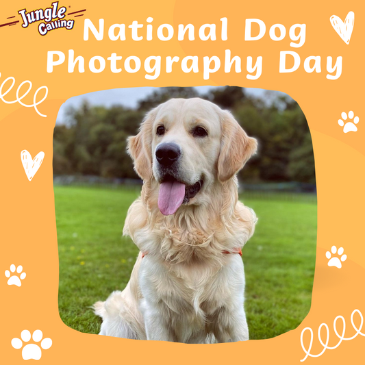 National Dog Photography Day--July 26