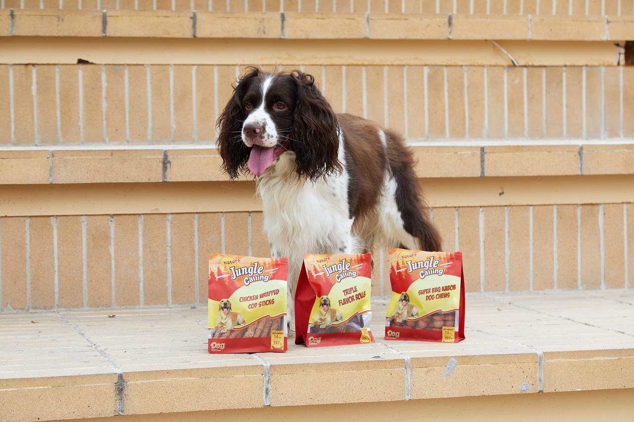 Best Dog Treats for Outdoor Training: What to Look For