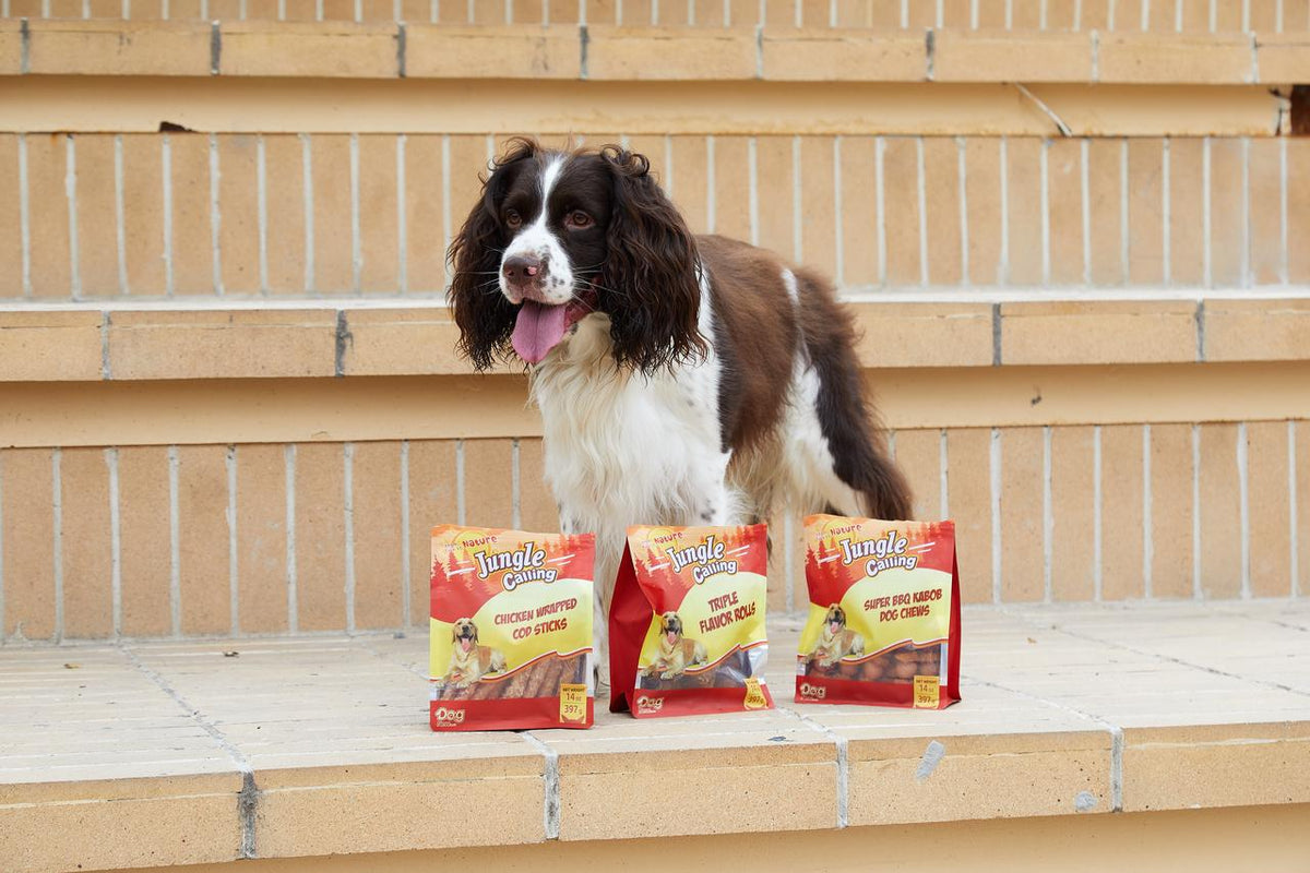 Best Dog Treats for Outdoor Training: What to Look For