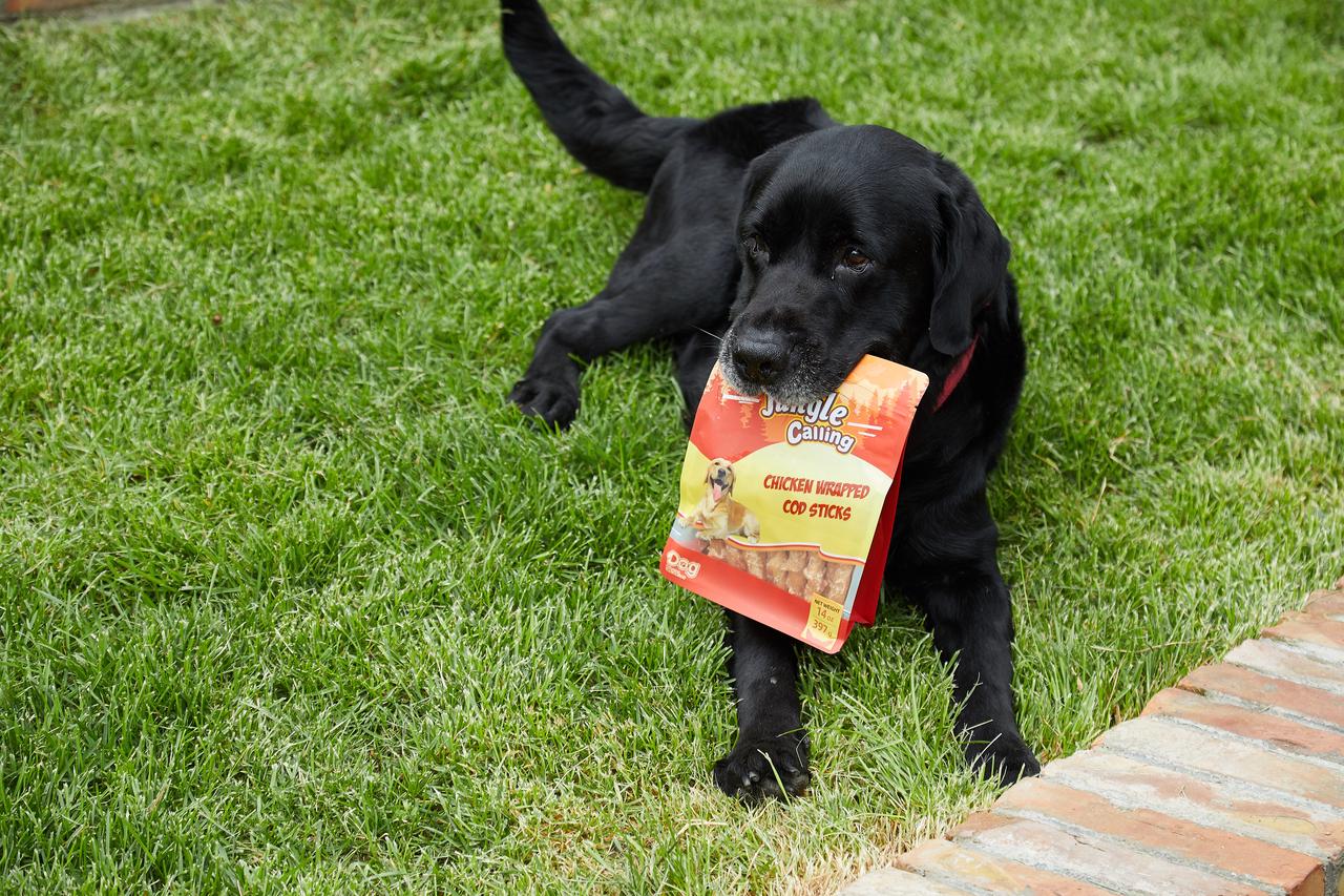 How to Read Dog Treat Ingredients Without Getting Lost in the Label