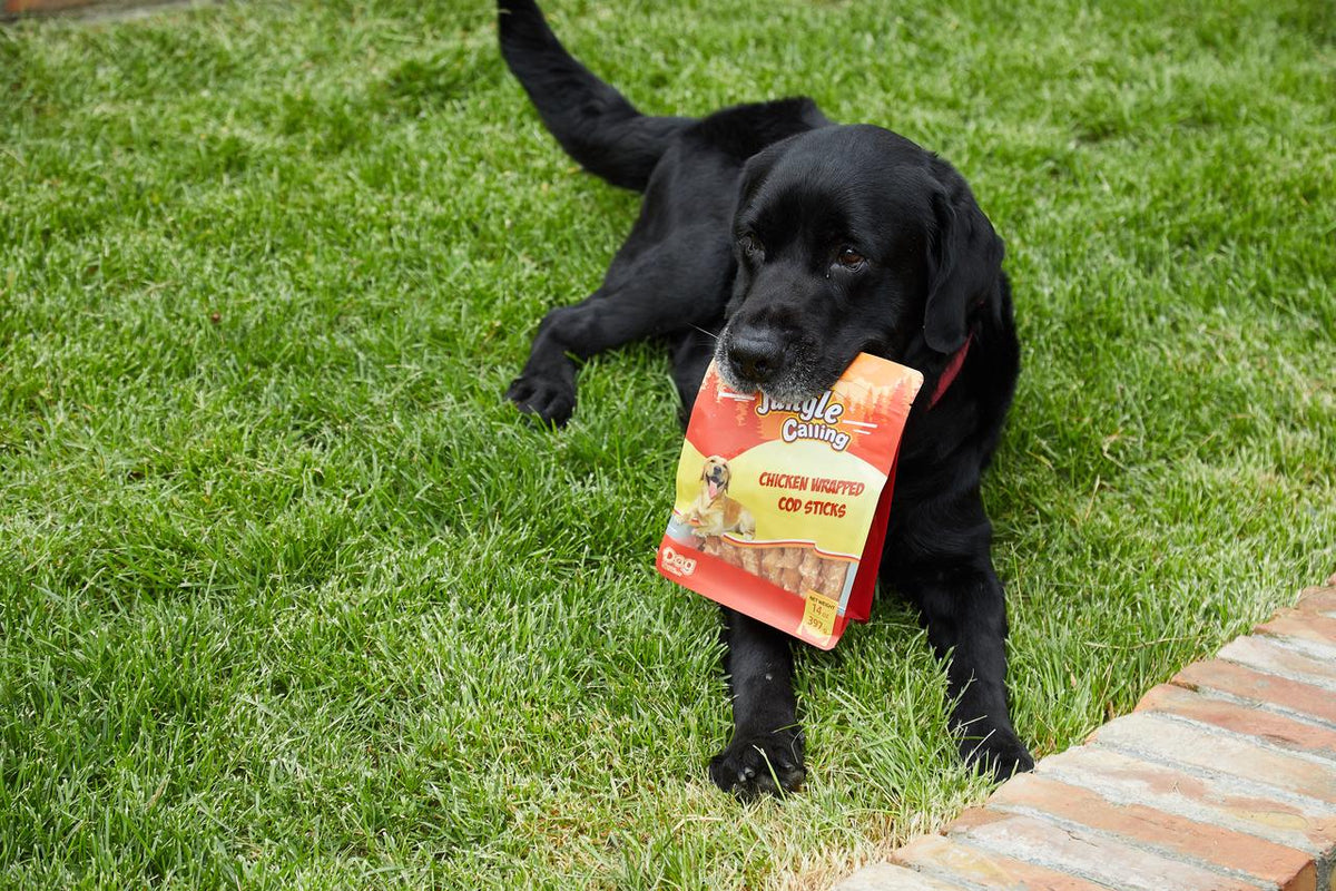 How to Read Dog Treat Ingredients Without Getting Lost in the Label