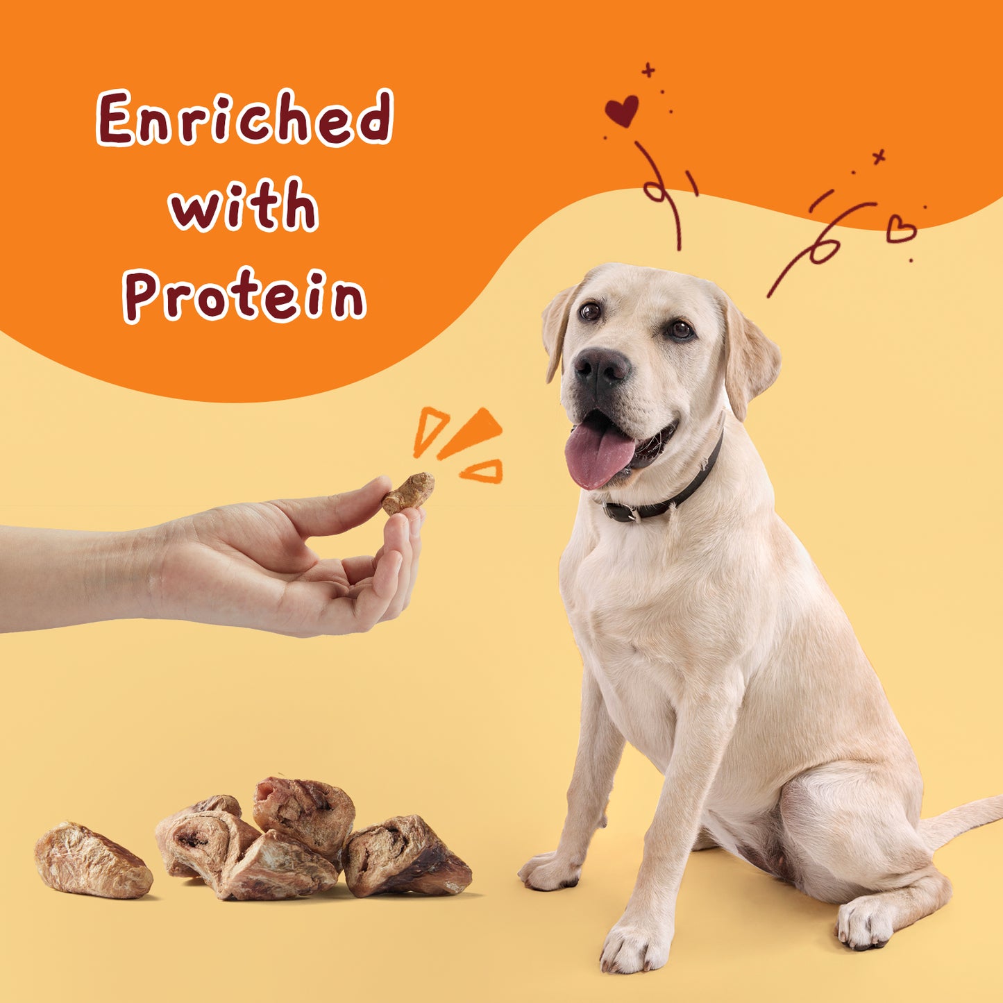 Freeze Dried Cat Treats and Dog Snacks, Raw Chicken Hearts Treats for Dogs & Cats, Single Ingredient & High Protein Snacks for Training