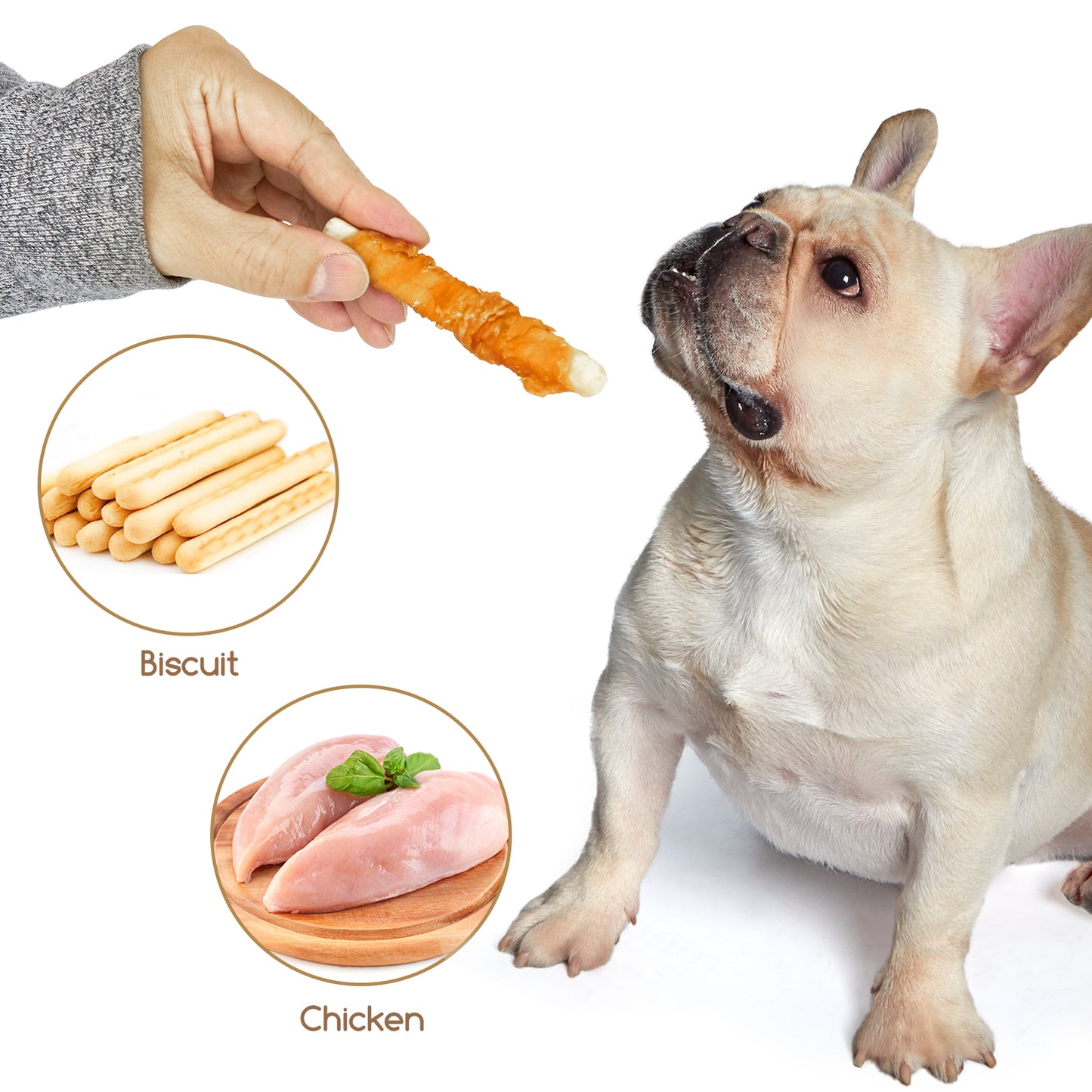 Chicken Biscuits Dog Treats, Rawhide Free Soft Chewy Treats for Training Rewards,10.6oz