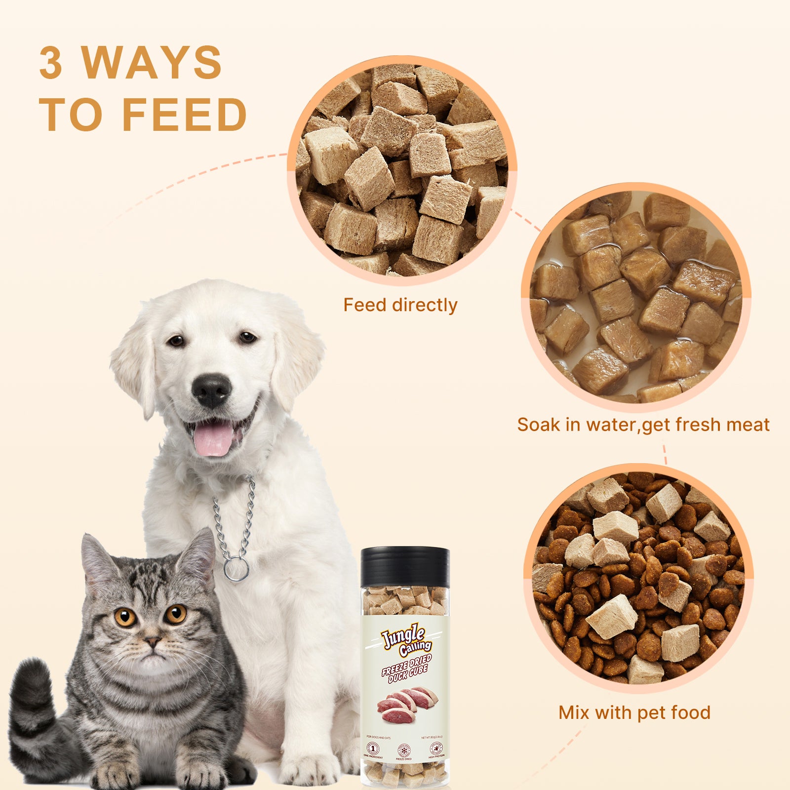 Can you give dogs cat outlet treats