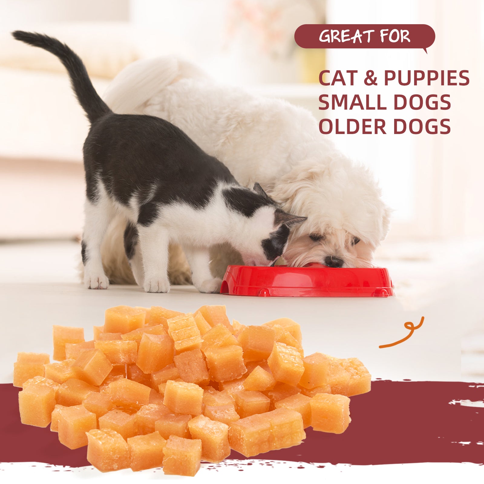 Buy one get one free hotsell dog food chewy