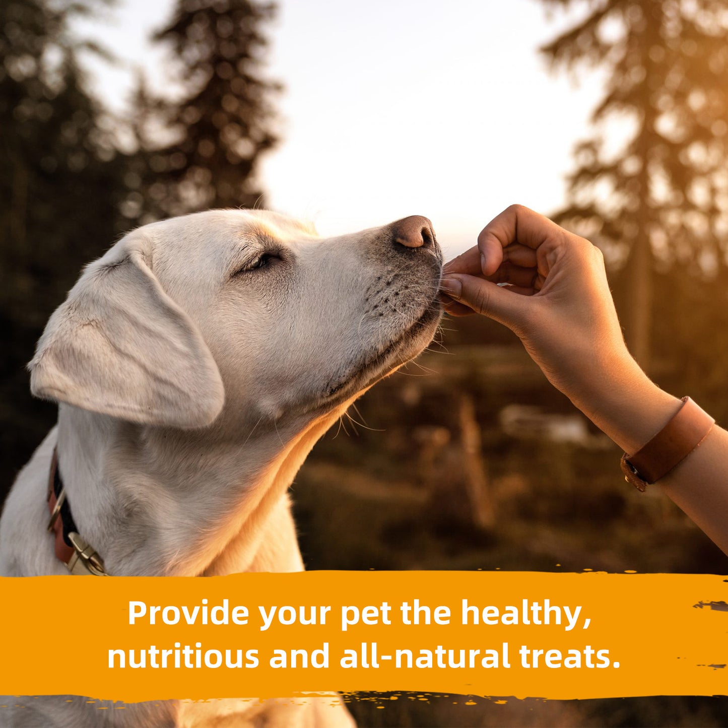 Natural Sweet Potato Dog Treats, Low Fat, Skinless Sweet Potato Chews for Dogs Training Snacks