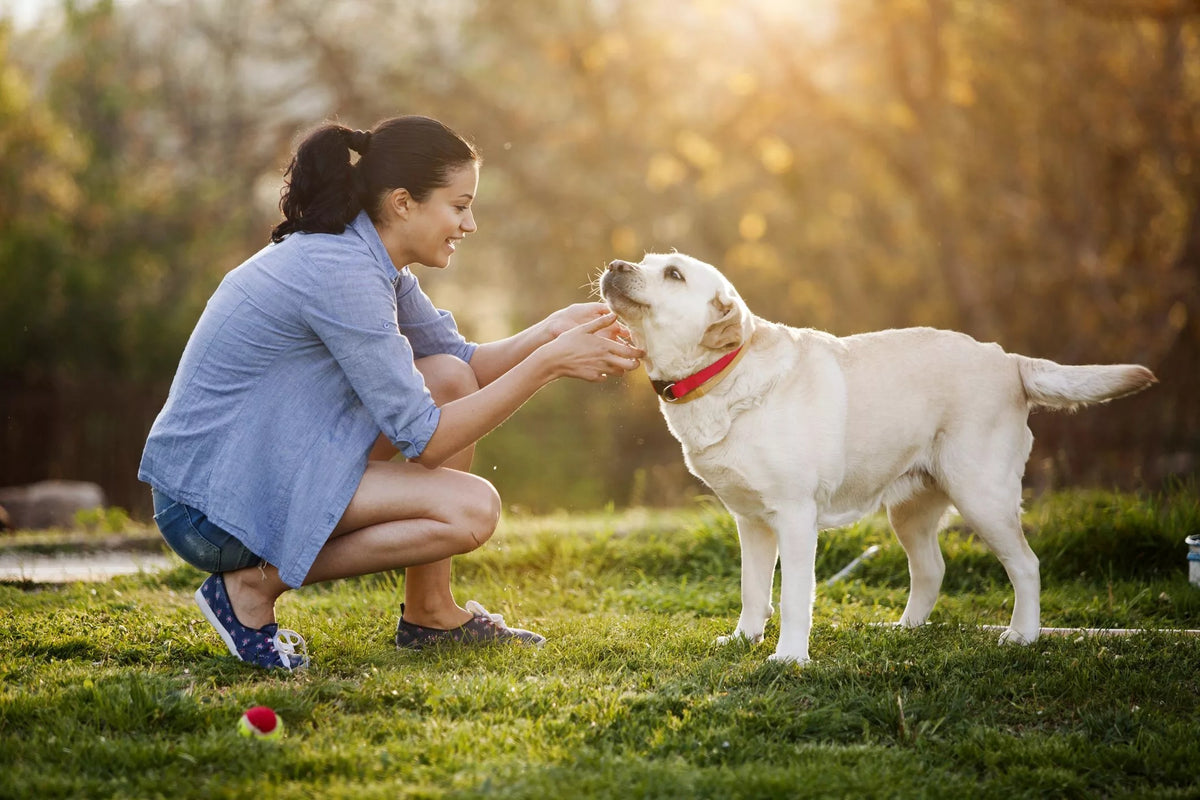 A person spending time outdoors with their dog.