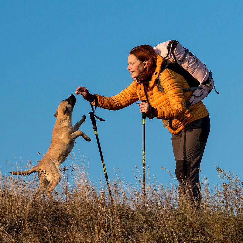 A dog and person pausing together on a day outdoors.