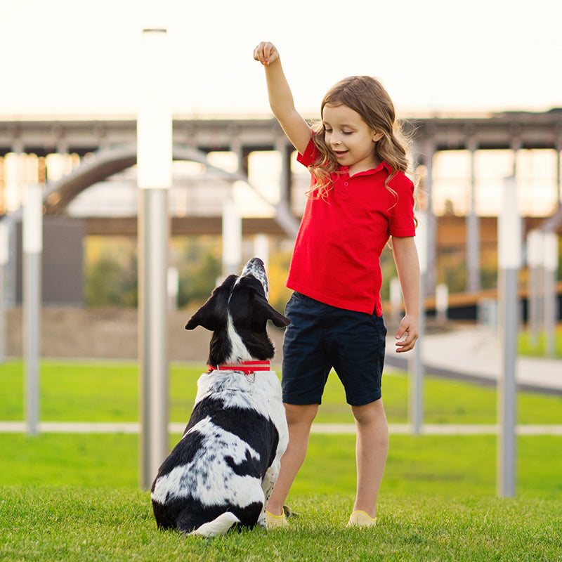 A dog and person sharing a reward pause in a park.