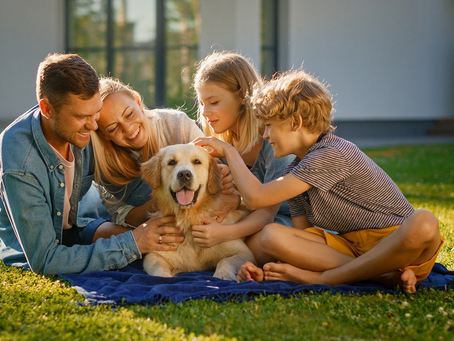 A family of four sitting on the lawn with their golden retriever.