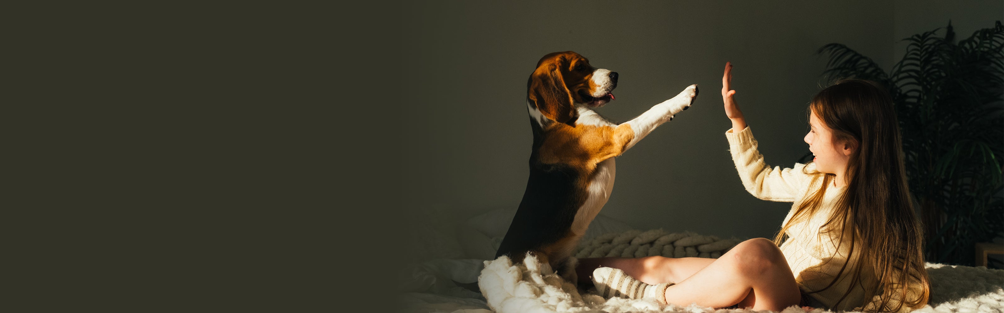 A girl high-fiving her dog on a bed